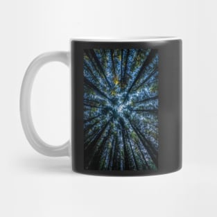 Conifer Trees View Looking Up Mug